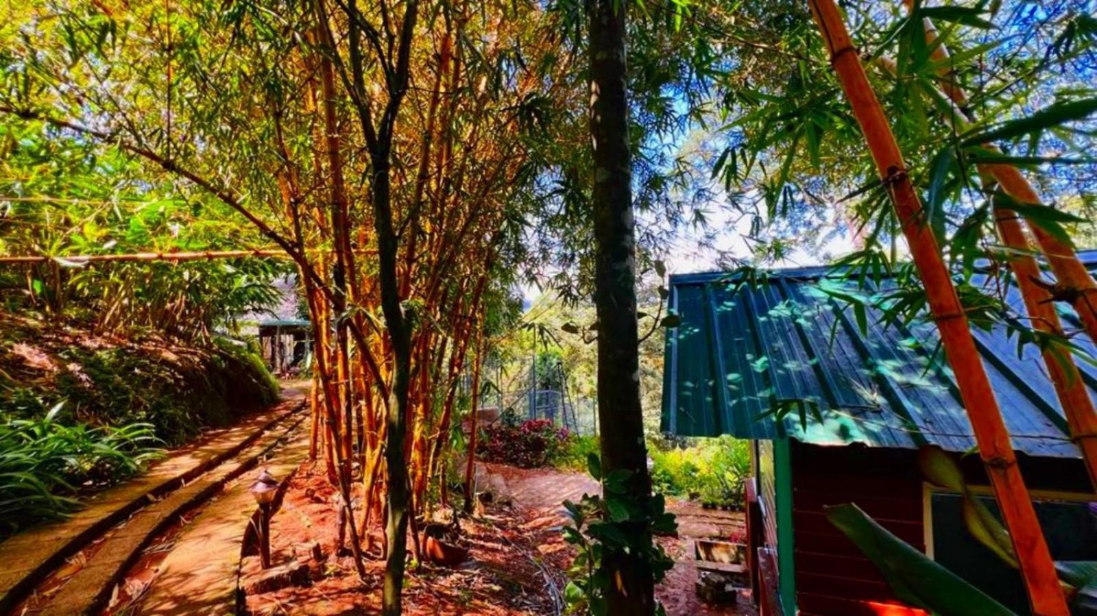 Bamboo Dale Resort, Мунар Екстериор снимка