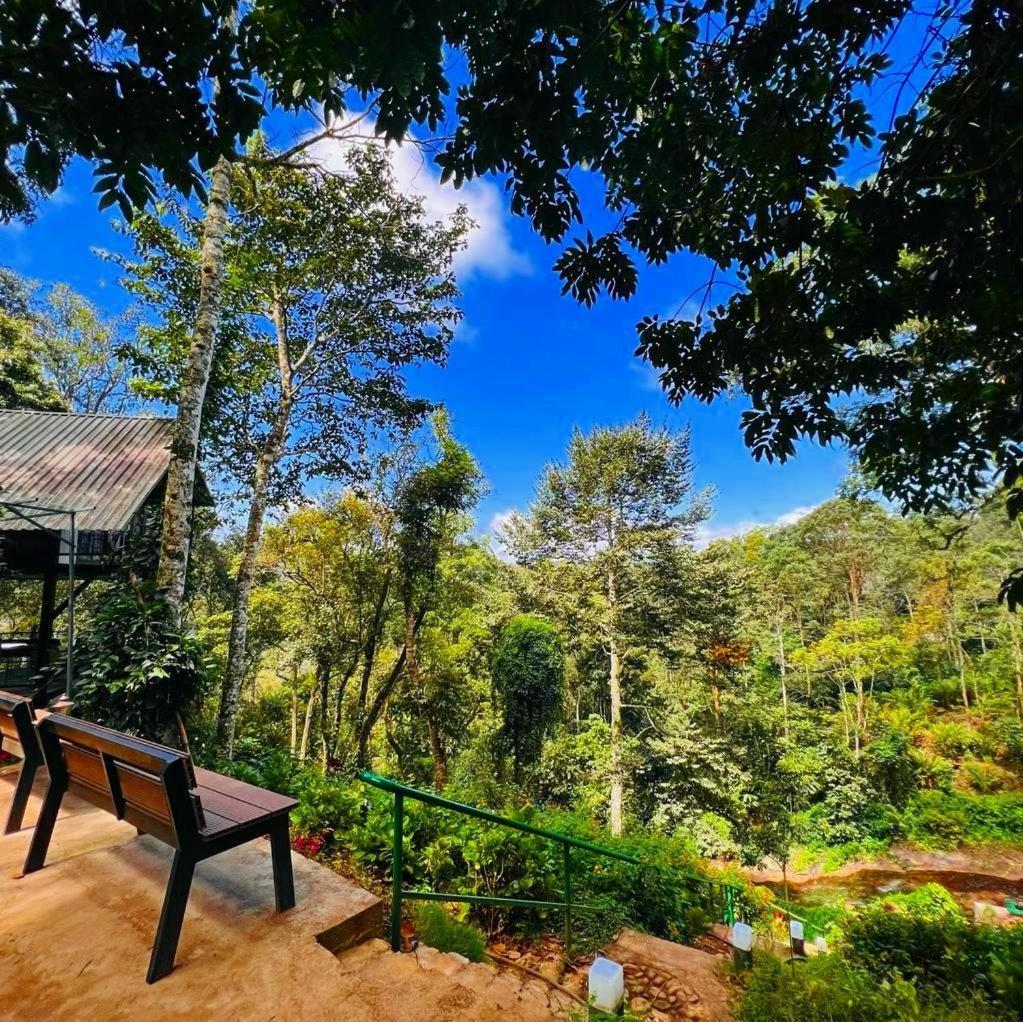 Bamboo Dale Resort, Мунар Екстериор снимка