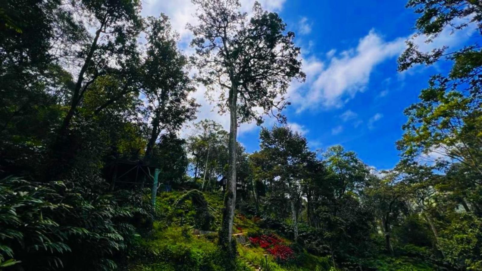 Bamboo Dale Resort, Мунар Екстериор снимка
